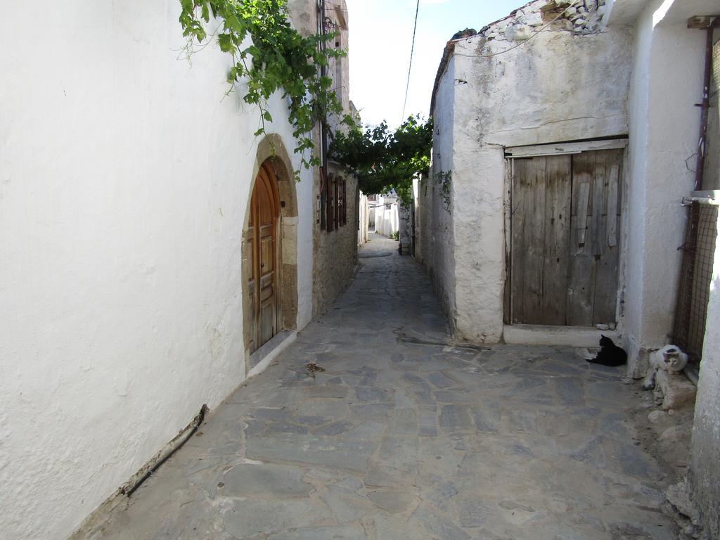 Theanos House Villa Pigí Buitenkant foto